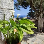 Affittacamere Ktima Zaxarias