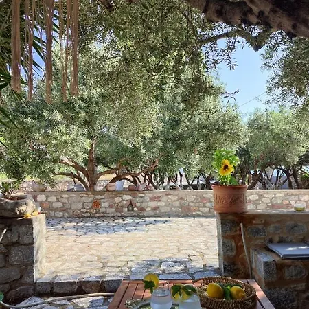 Guest house Ktima Zaxarias