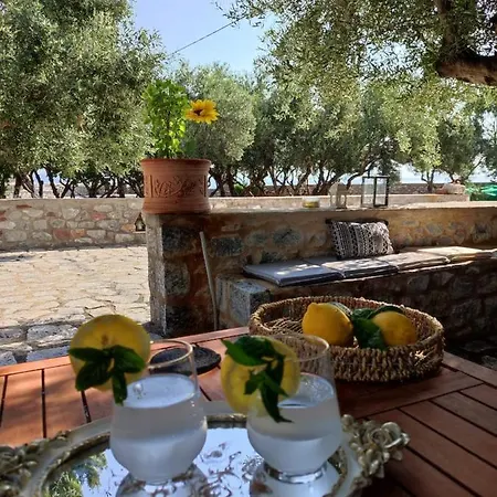 Ktima Zaxarias 3*