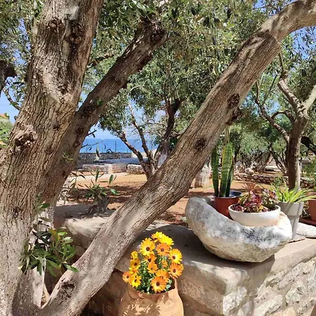 Casa de hóspedes Ktima Zaxarias