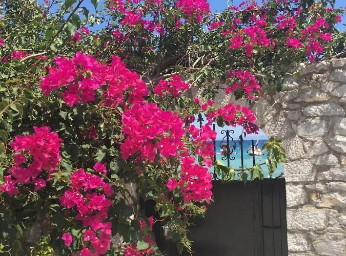 ゲストハウス Ktima Zaxarias