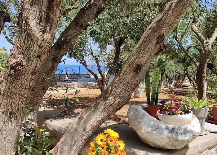 Гостевой дом Ktima Zaxarias